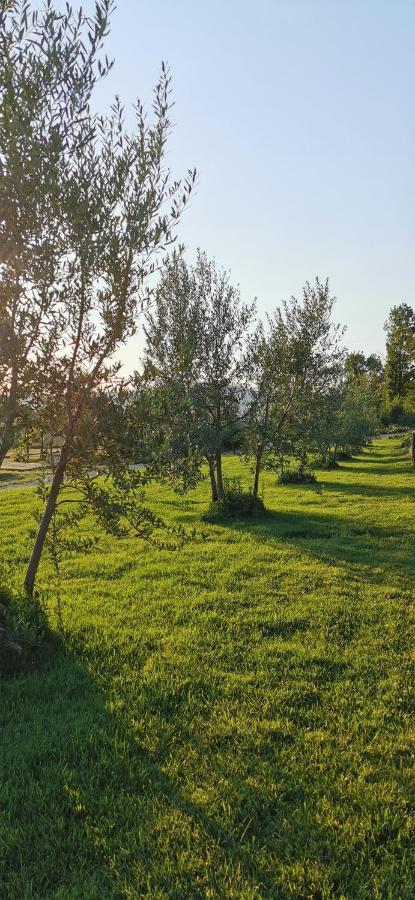 Chimera Tuscany Resort Arezzo Exteriér fotografie
